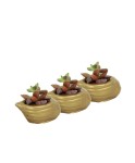Mini Çiçek Saksı Küçük Sukulent Altın Kaktüs Saksısı 3lü Set Mini Deniz Salyangozu Model